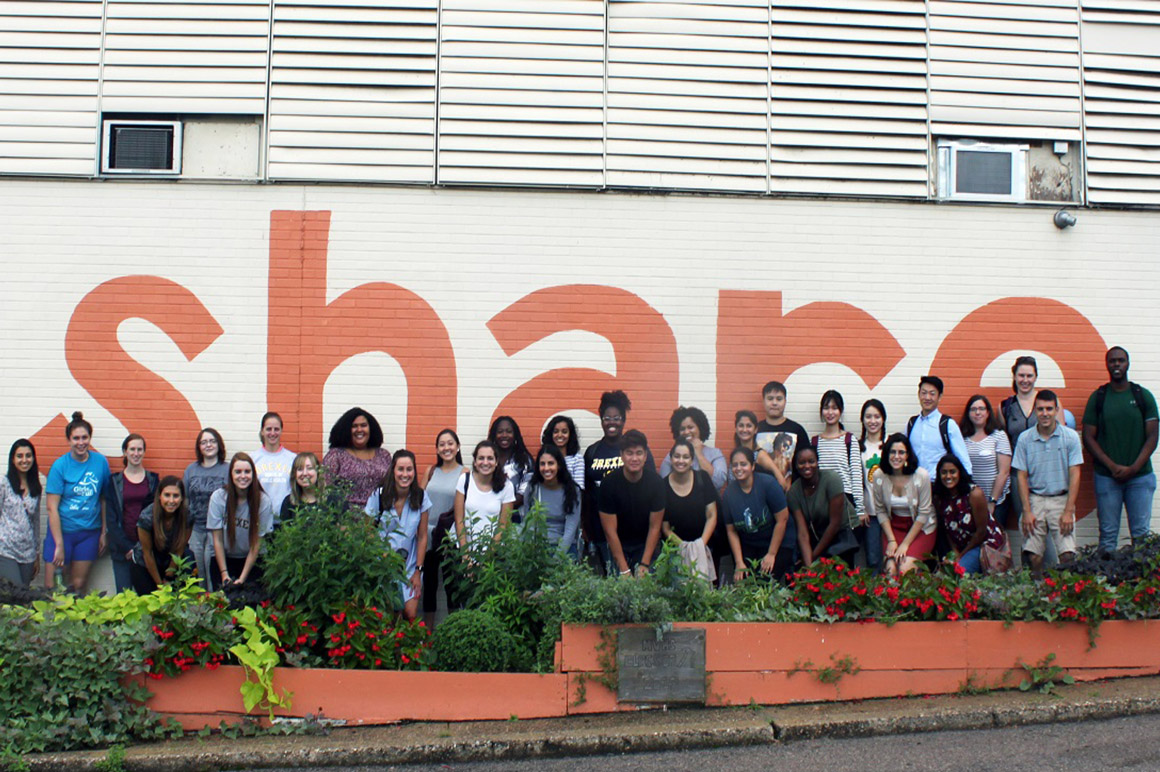 Students volunteering at a nonprofit